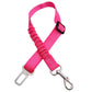 Dogs4Cats - SafeStrap