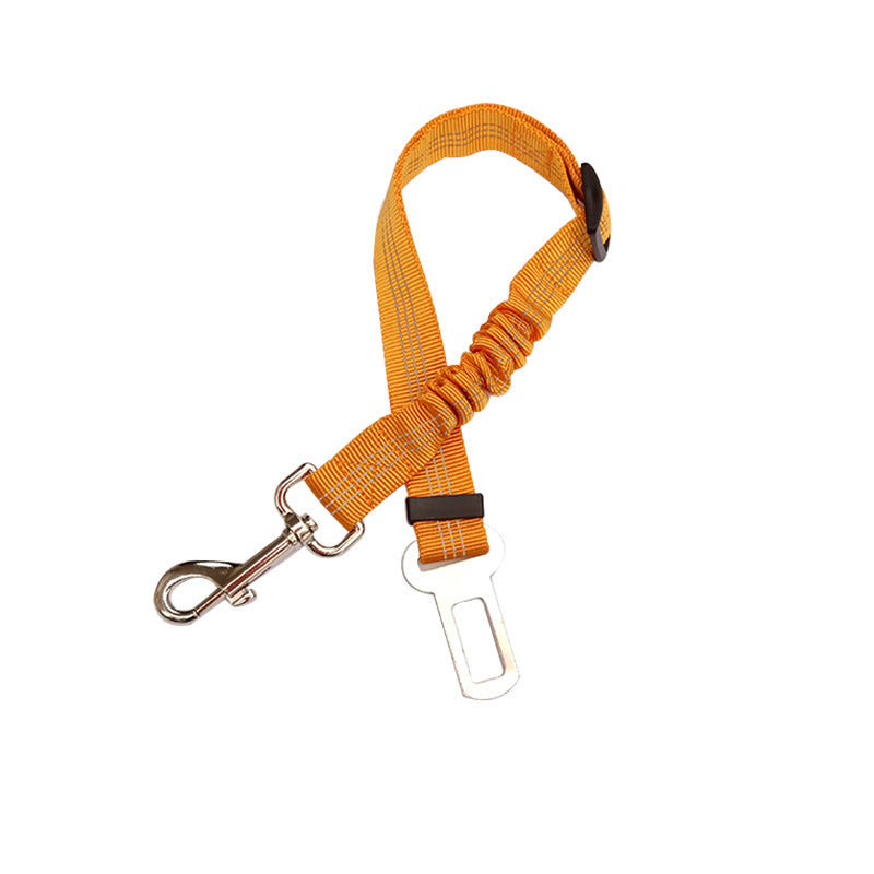 Dogs4Cats - SafeStrap