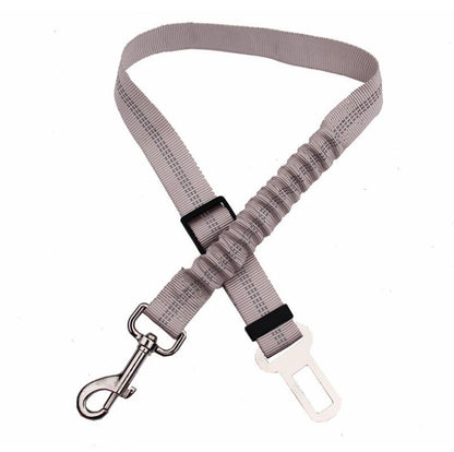 Dogs4Cats - SafeStrap