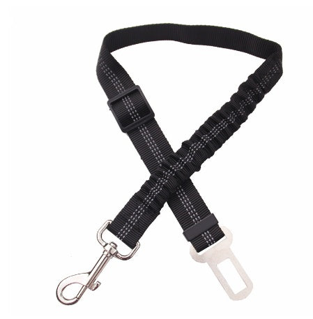 Dogs4Cats - SafeStrap