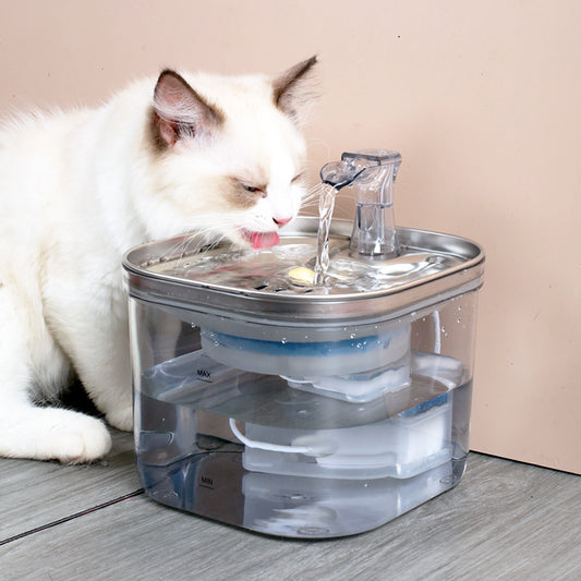 Dogs4Cats - PurePet Fountain