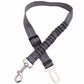 Dogs4Cats - SafeStrap