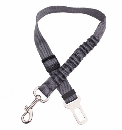 Dogs4Cats - SafeStrap